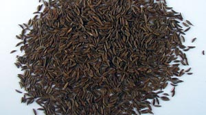 Caraway seeds / 